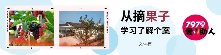 7979爱助人  从摘果子学习了解个案